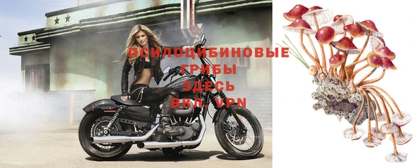 2c-b Заводоуковск
